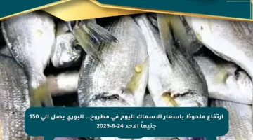 ارتفاع ملحوظ بأسعار الأسماك اليوم في مطروح.. البوري يصل إلى 150 جنيهاً الأحد 24-8-2025
